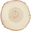boomschijf populier 16-19 cm