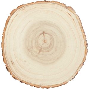 boomschijf populier 16-19 cm