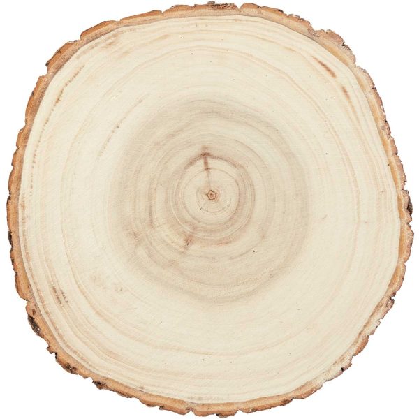 boomschijf populier 16-19 cm