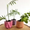 siliconen gietmal potjes 3 stuks met plantjes