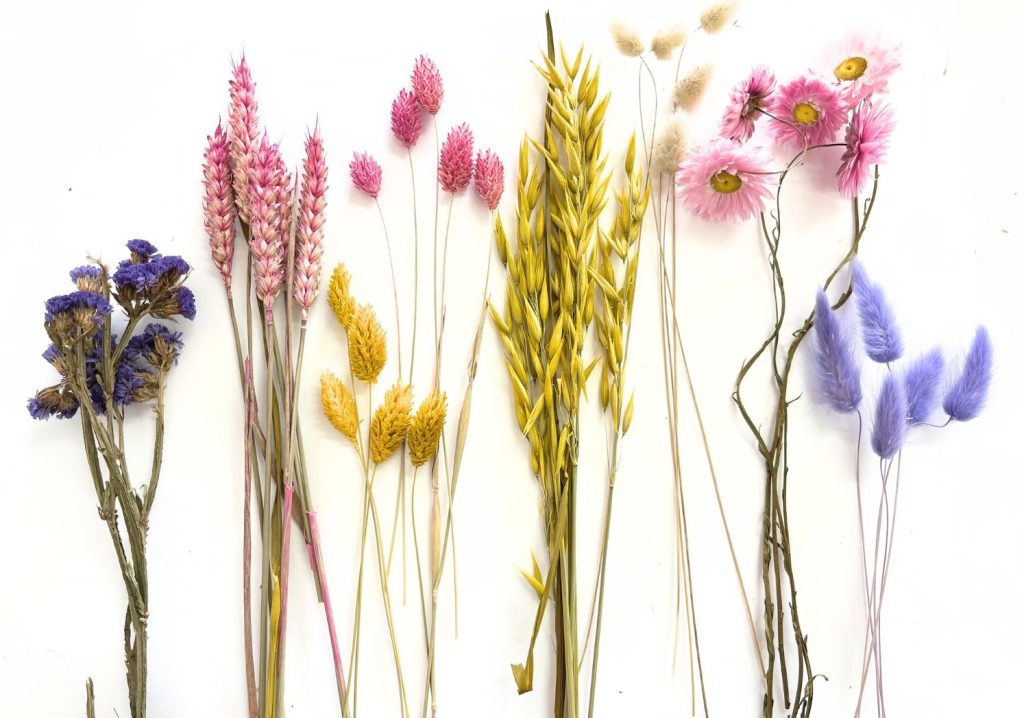 droogbloemen in lente kleuren
