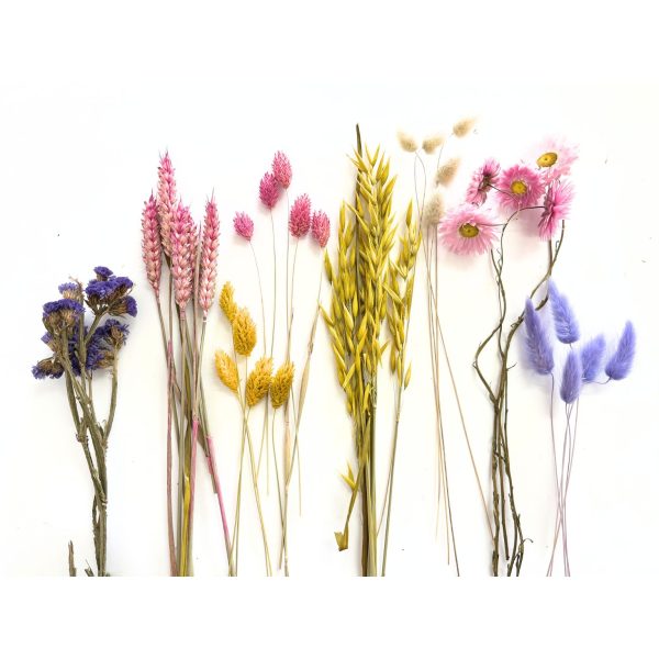 droogbloemen bosje kleur lente