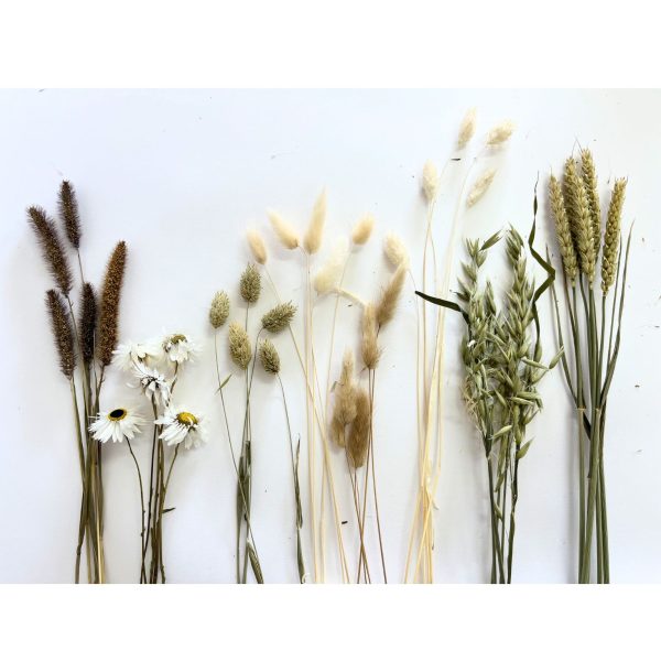 droogbloemen bosje neutraal wit