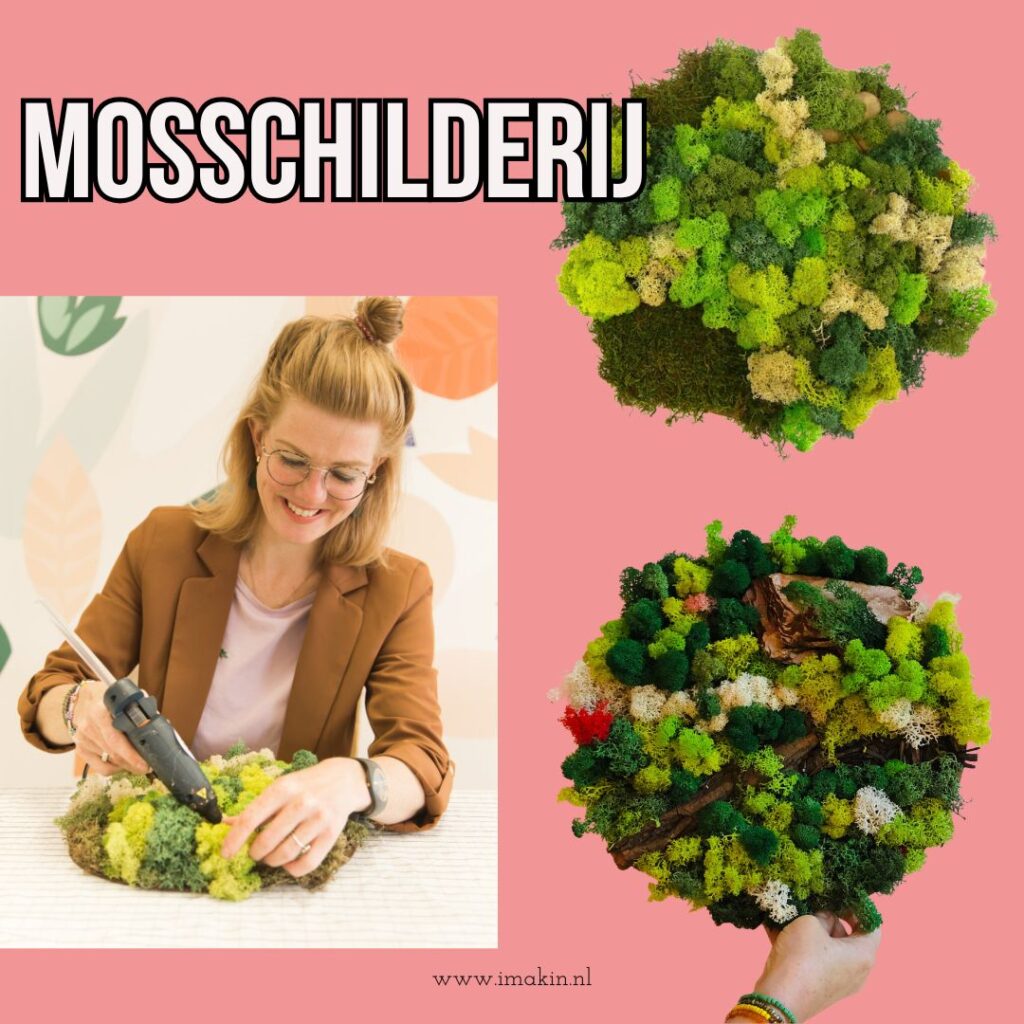 diy pakket mosschilderij